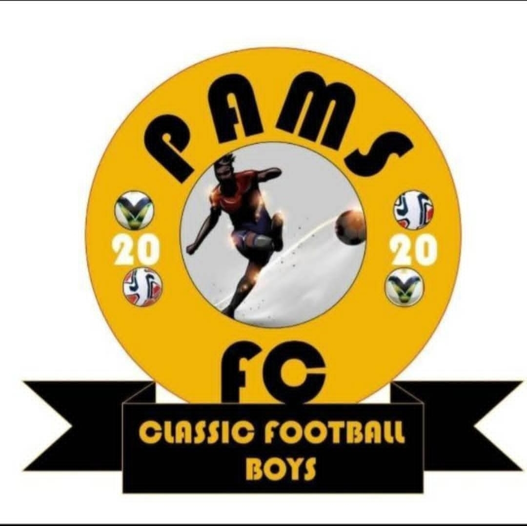 PAMS logo